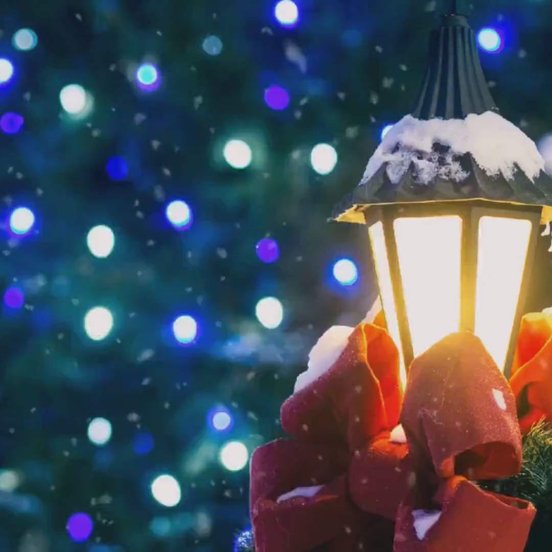 Personalized National Parks Christmas Ornament, 63 National Park Ornaments, National Park Tracker, 4d shaker ornament, Hiker, Travel