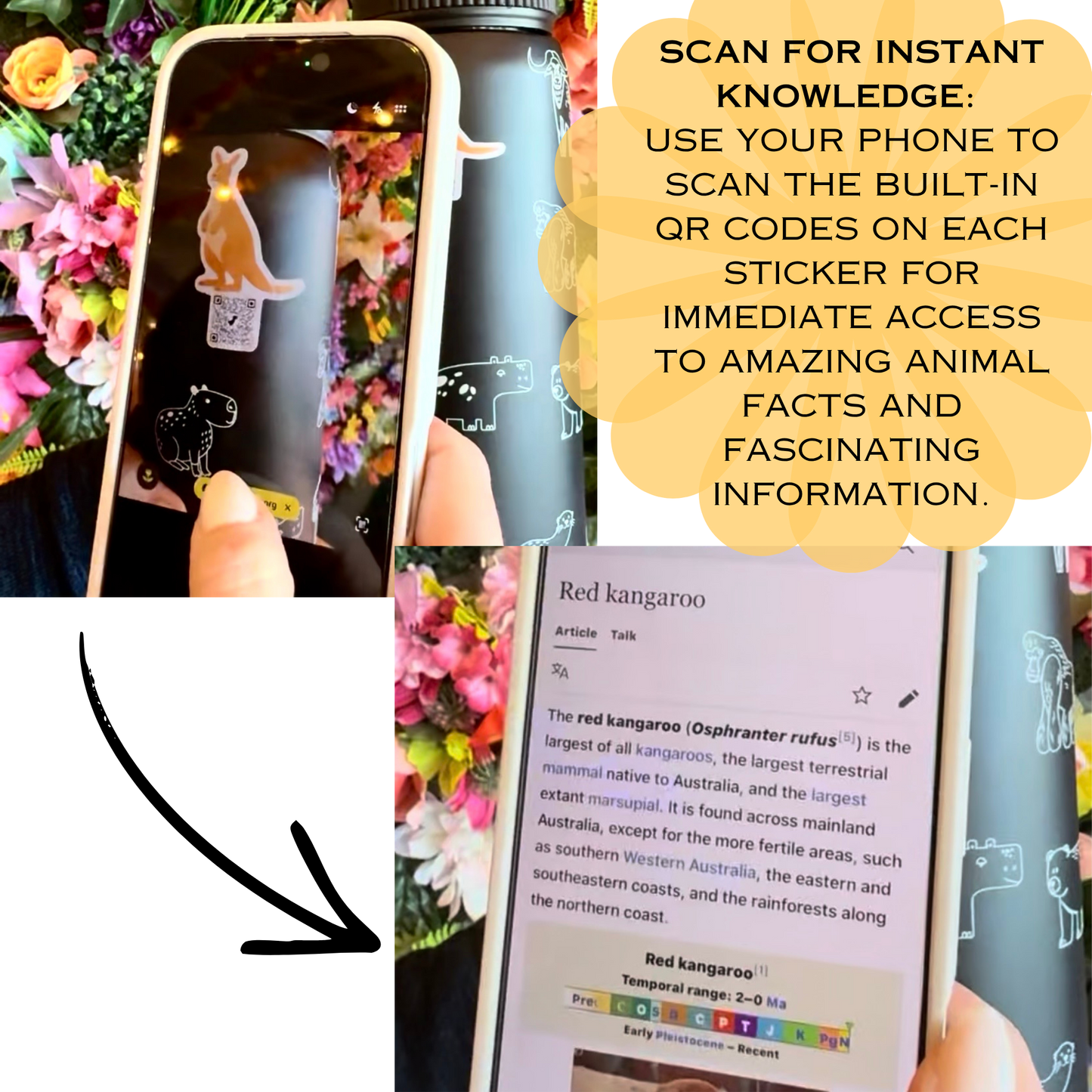 Zoo and Aquarium Tracker Bottles